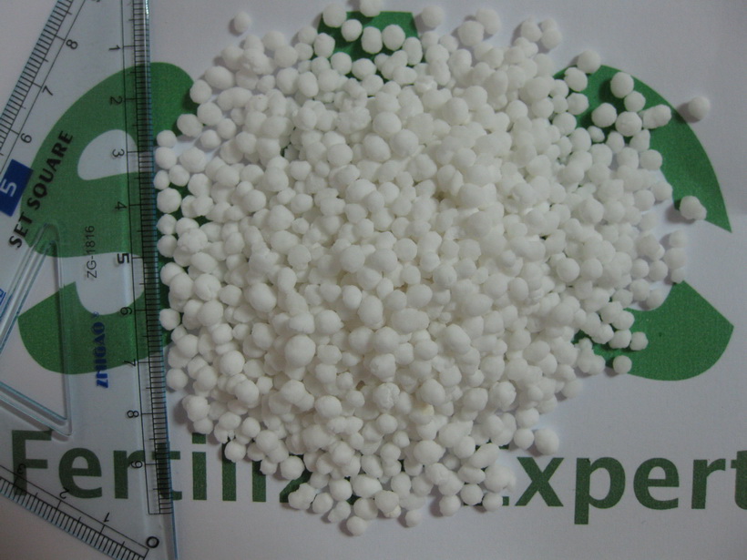 Calcium Nitrate Granular